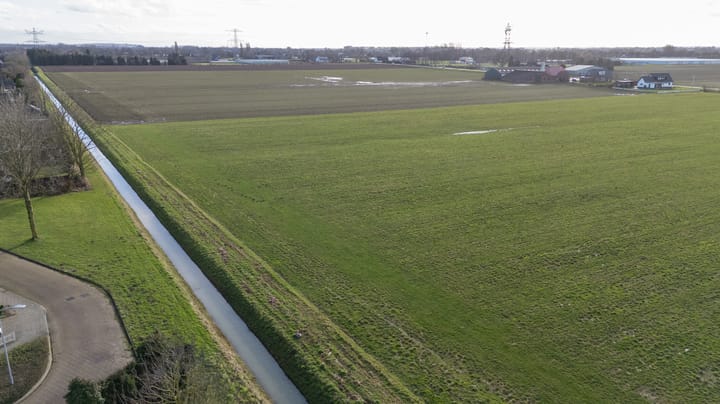 Foto 64 van Suikerpeer 34