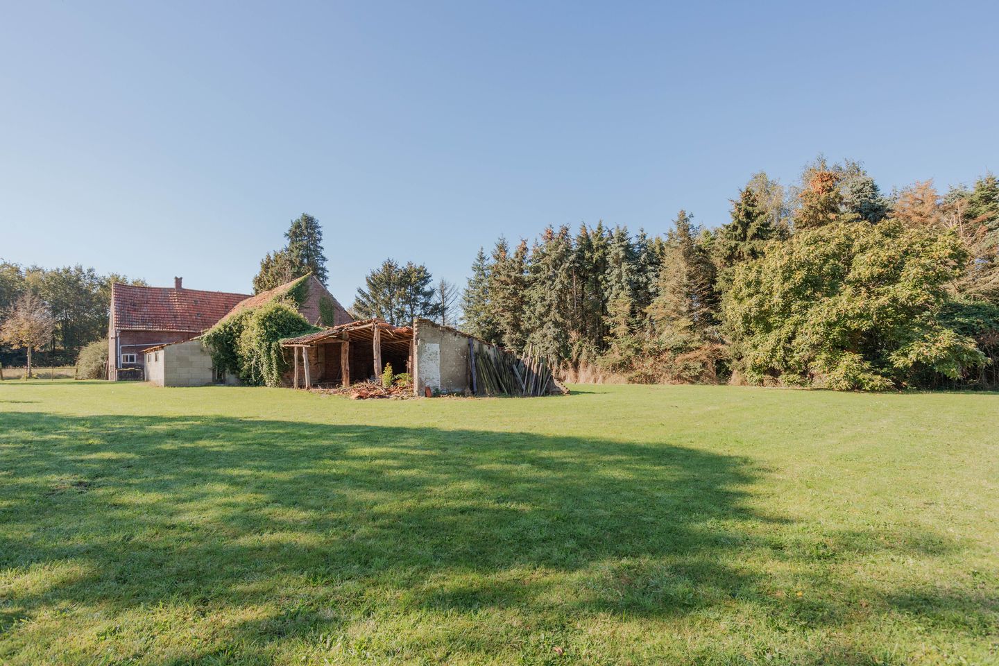 Foto 34 van Witveldweg 84