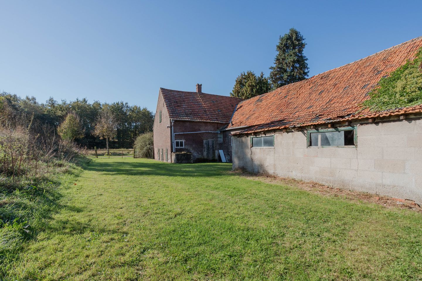 Foto 35 van Witveldweg 84