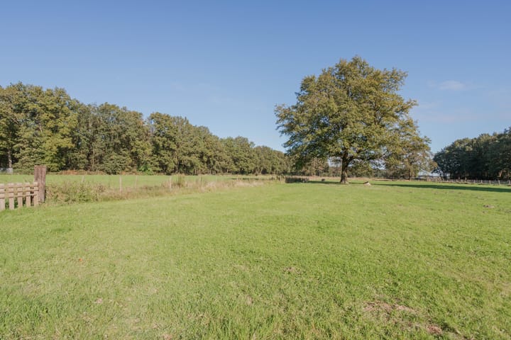 Foto 39 van Witveldweg 84