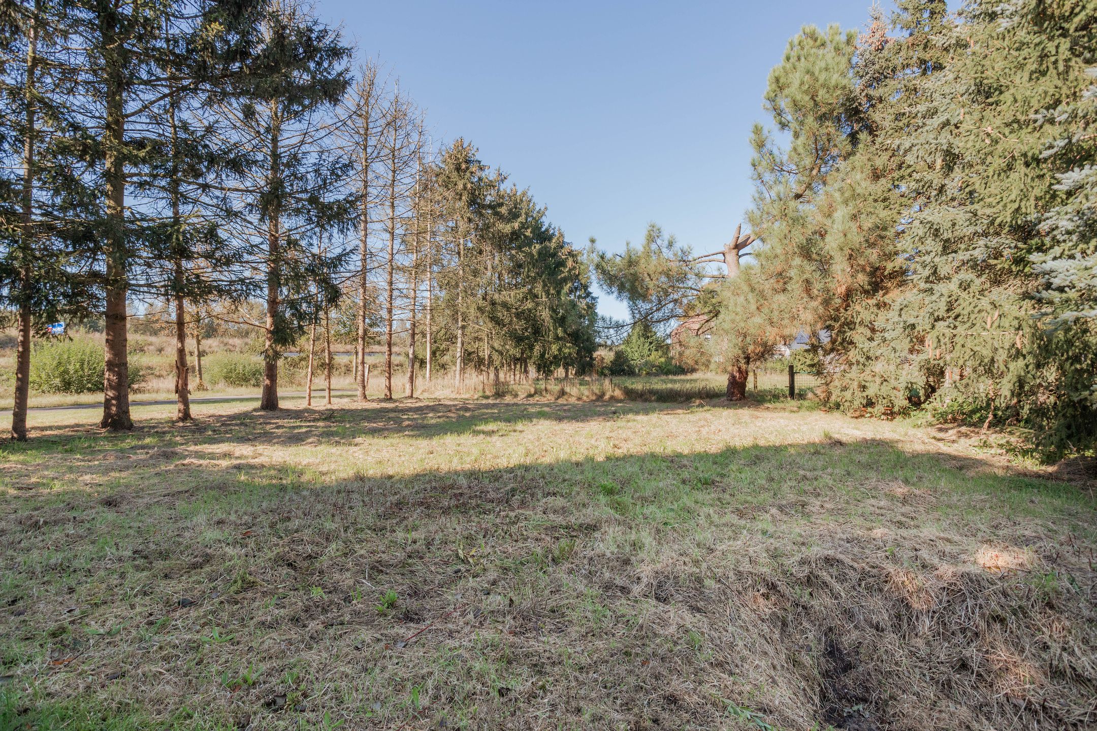 Foto 42 van Witveldweg 84