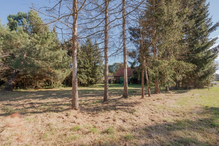 Foto 43 van Witveldweg 84