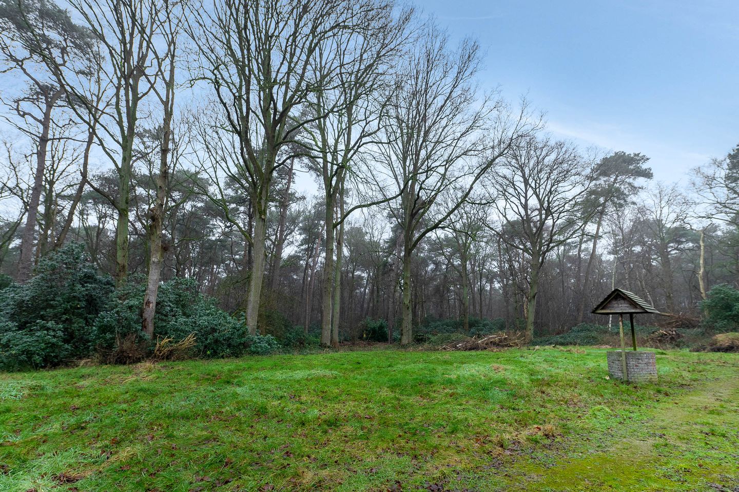 Foto 4 van Lange Steen 1