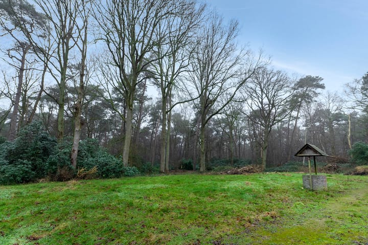 Foto 4 van Lange Steen 1