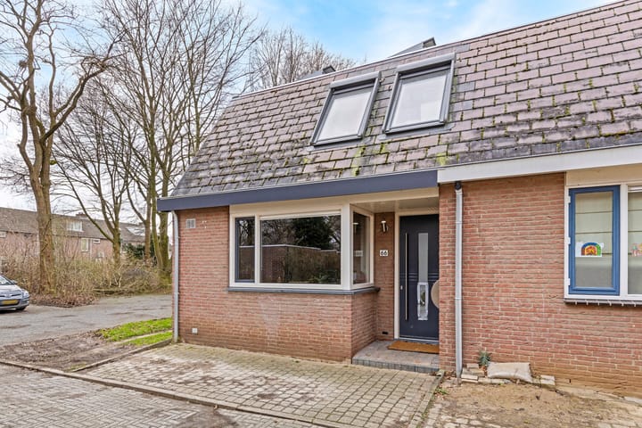 undefined main image