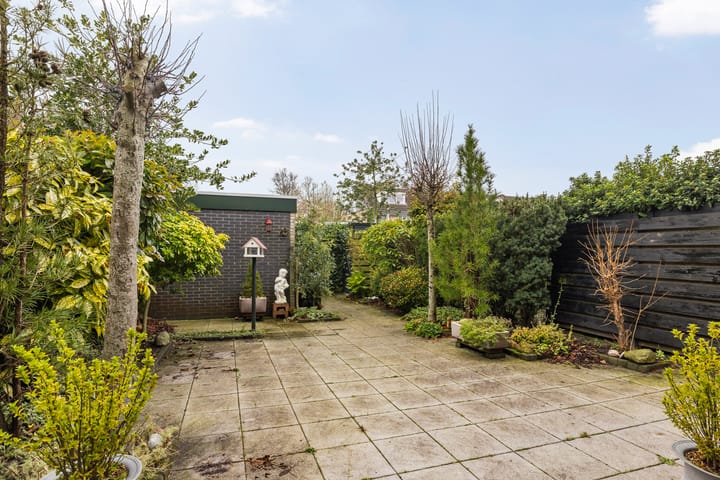 Foto 3 van de Tolve 29