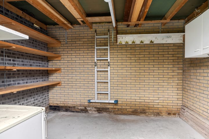 Foto 13 van de Tolve 29