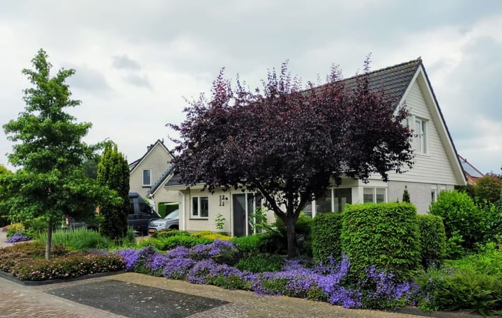 Foto 51 van Grutterserf 13