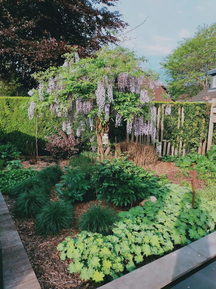 Foto 54 van Grutterserf 13