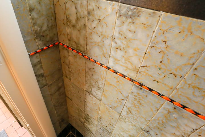 Foto 5 van Laan van Nieuw Oosteinde 157