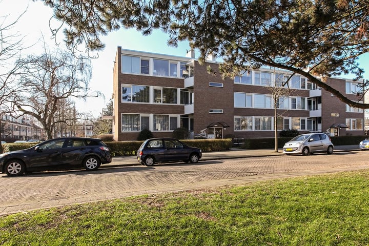 Bekijk foto 1 van Van Beethovensingel 27