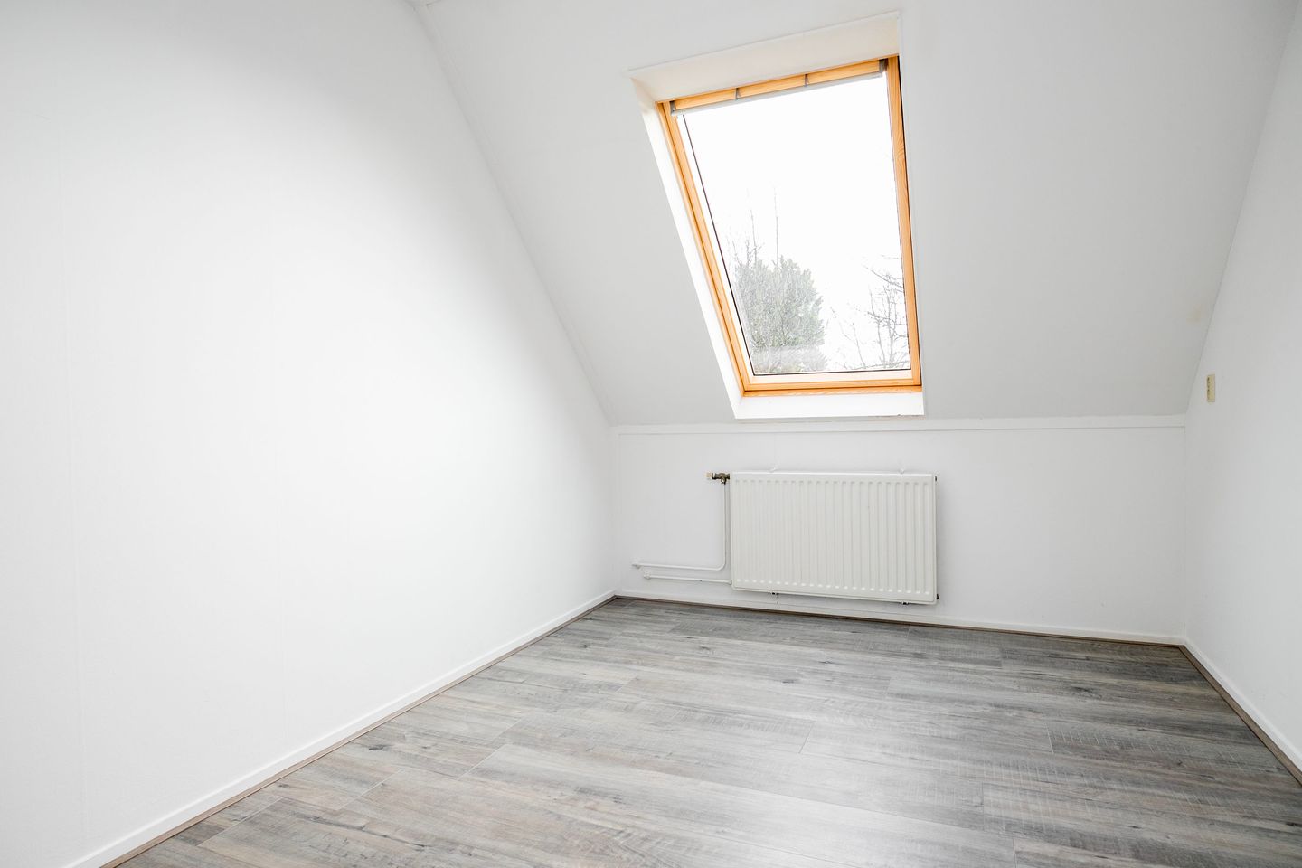 Foto 19 van Hoefbladveld 1