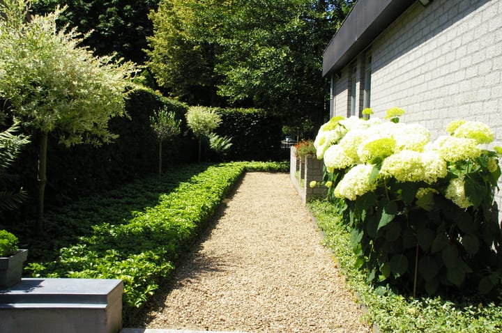 Foto 48 van Wilde Wingerd 130