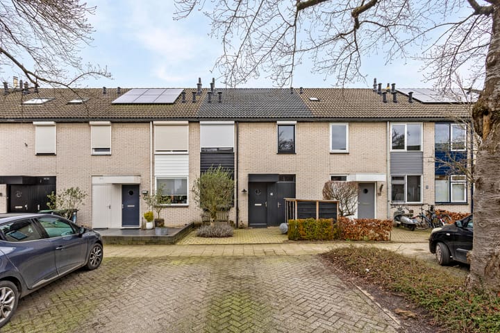 Foto 3 van Speenkruid 16