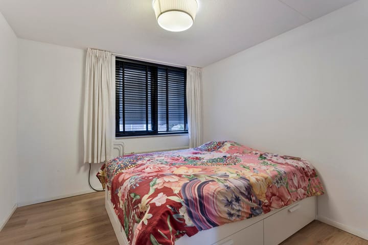 Foto 14 van Speenkruid 16