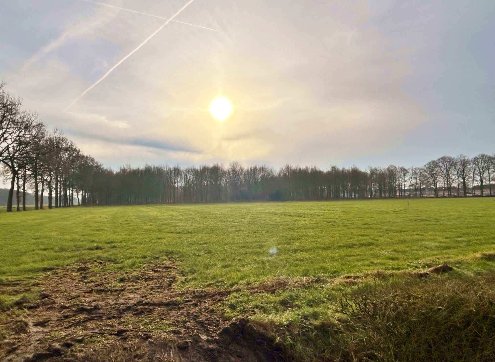 Foto 3 van Zuiderzeestraatweg 205