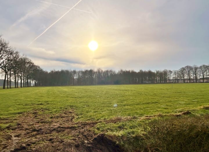 Foto 3 van Zuiderzeestraatweg 205