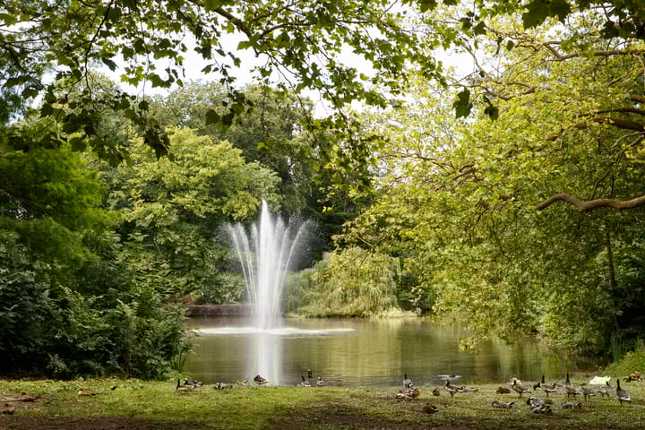 Foto 33 van Chrysantstraat 1