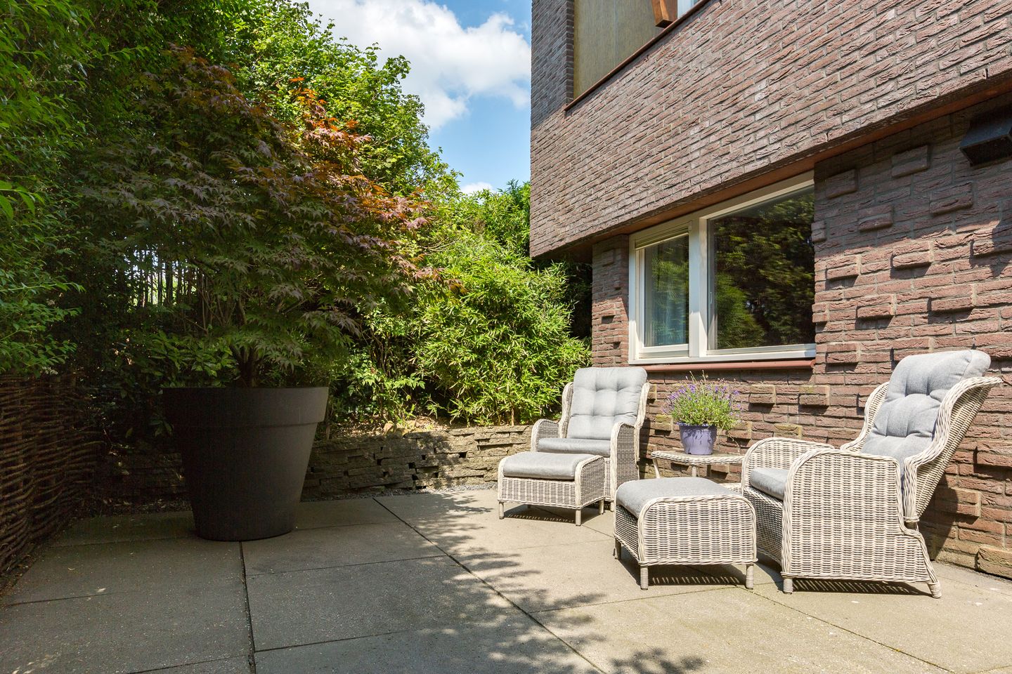 Photo 44 of Kleine Molen 11