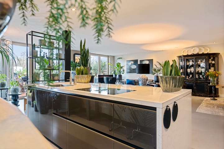 Foto 12 van Westeinde 132-E