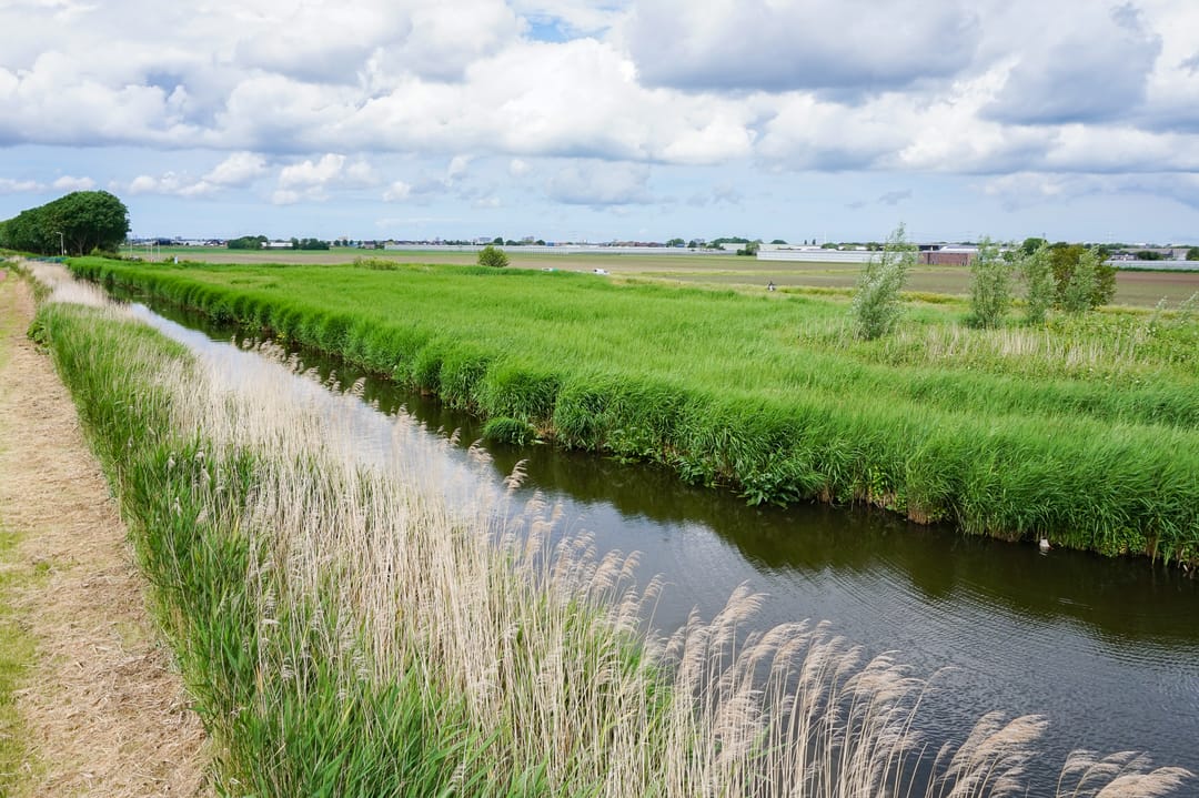 Photo 52 of Kleine Molen 11