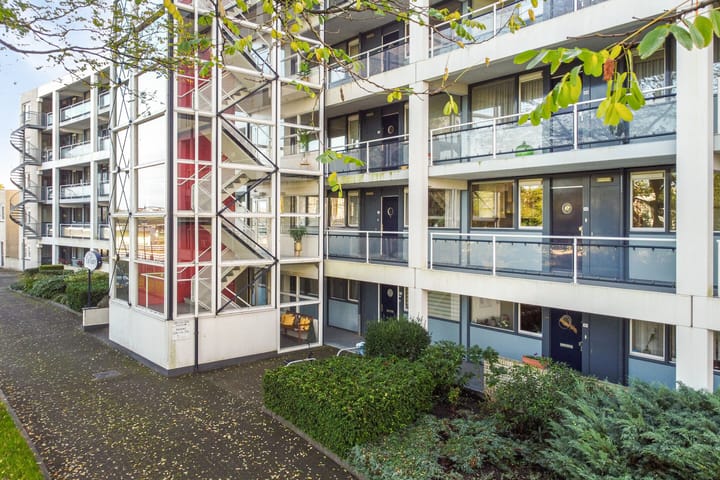 Foto 5 van Laan van de Mensenrechten 308