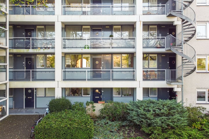 Foto 25 van Laan van de Mensenrechten 308