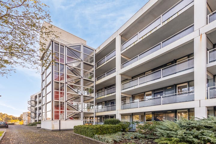 Foto 27 van Laan van de Mensenrechten 308