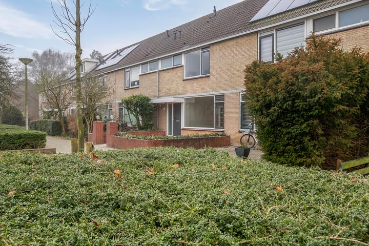 Foto 2 van Krammer 50