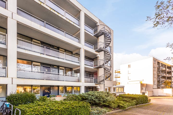 Foto 28 van Laan van de Mensenrechten 308