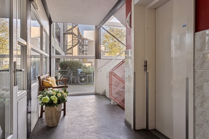 Foto 35 van Laan van de Mensenrechten 308