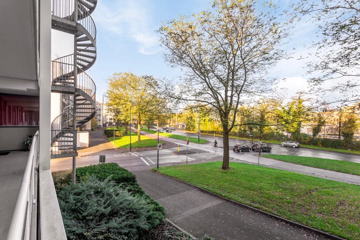 Foto 38 van Laan van de Mensenrechten 308