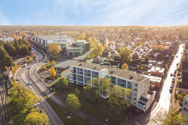 Foto 41 van Laan van de Mensenrechten 308