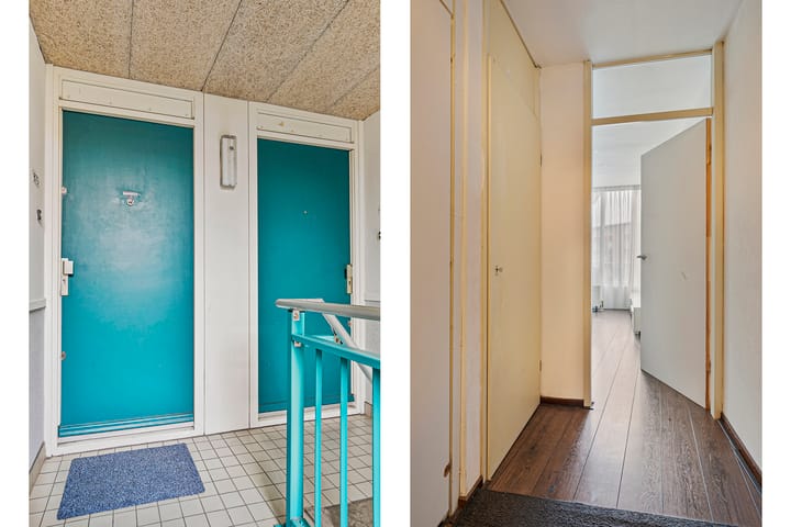 Foto 4 van Troelstrakade 875