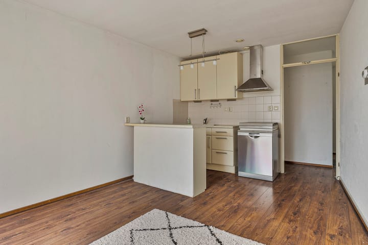 Foto 7 van Troelstrakade 875