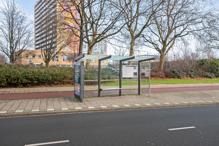 Foto 19 van Troelstrakade 875