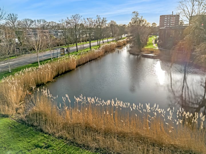 Foto 29 van Rosmarijn 6