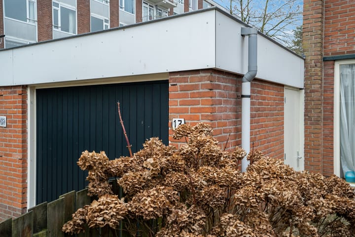 Foto 30 van Daelwijcklaan 11