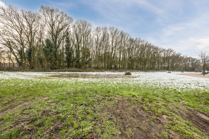 Foto 30 van Kattedoorn 2