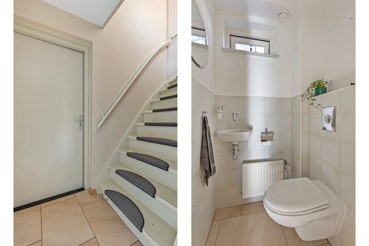 Foto 6 van Steppevlinder 7