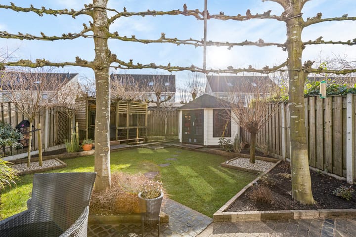 Foto 24 van Steppevlinder 7