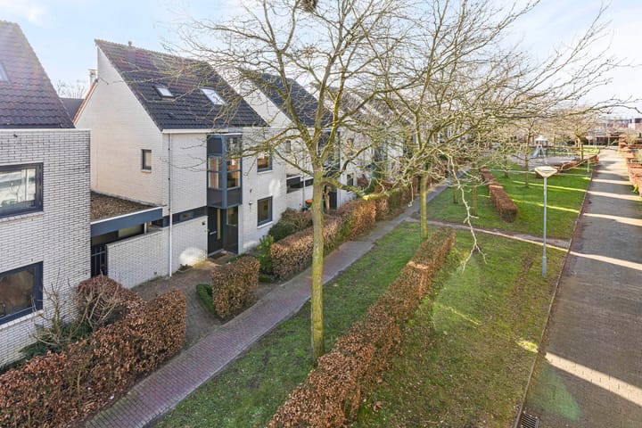 Foto 31 van Steppevlinder 7