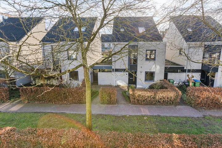 Foto 32 van Steppevlinder 7