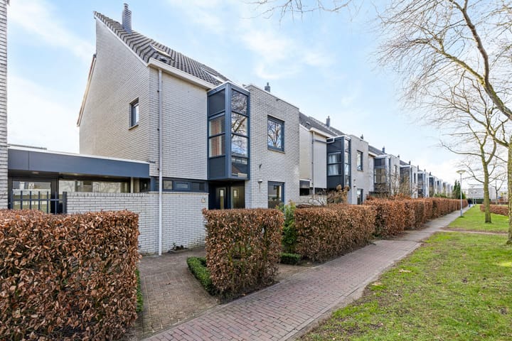 Foto 33 van Steppevlinder 7