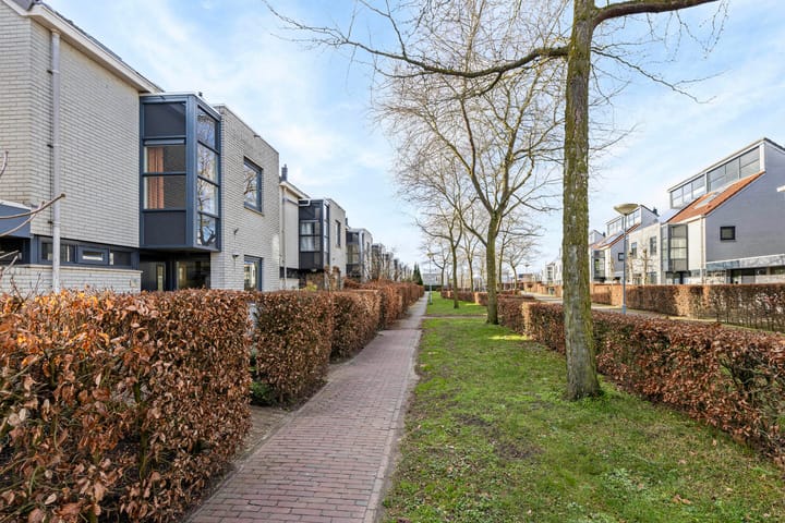 Foto 35 van Steppevlinder 7