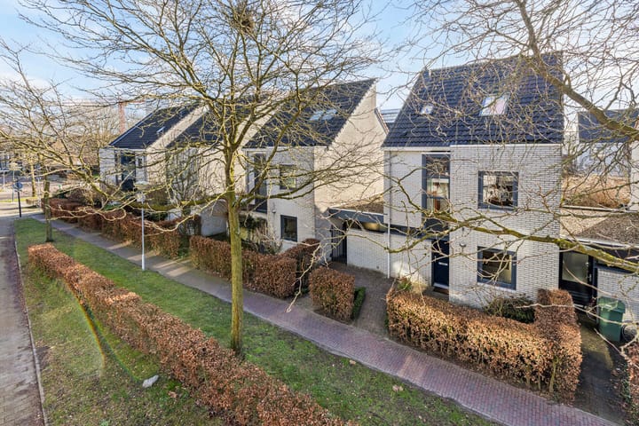 Foto 37 van Steppevlinder 7