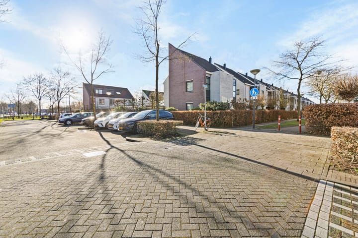 Foto 38 van Steppevlinder 7