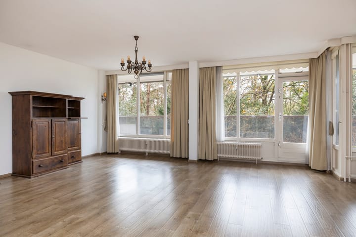 Foto 3 van Bosuillaan 19