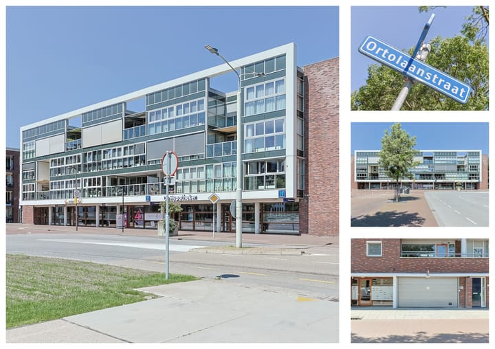 Foto 7 van Ortolaanstraat 11