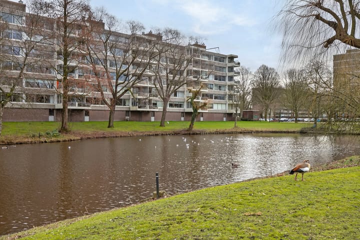 Foto 37 van Veenbesstraat 42